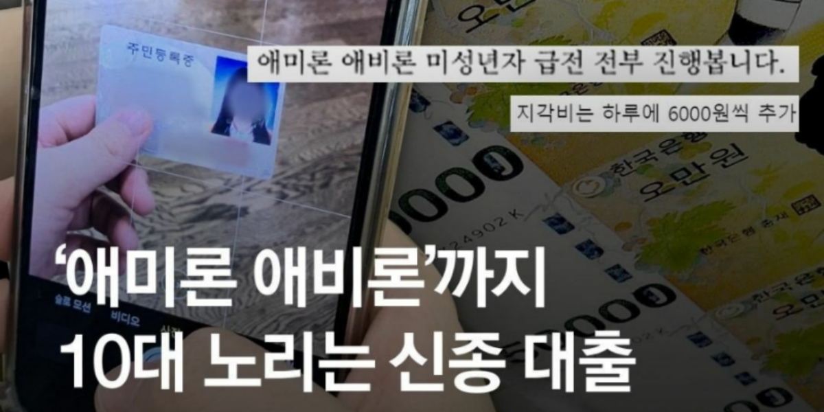 ‘애미론’을 아십니까?