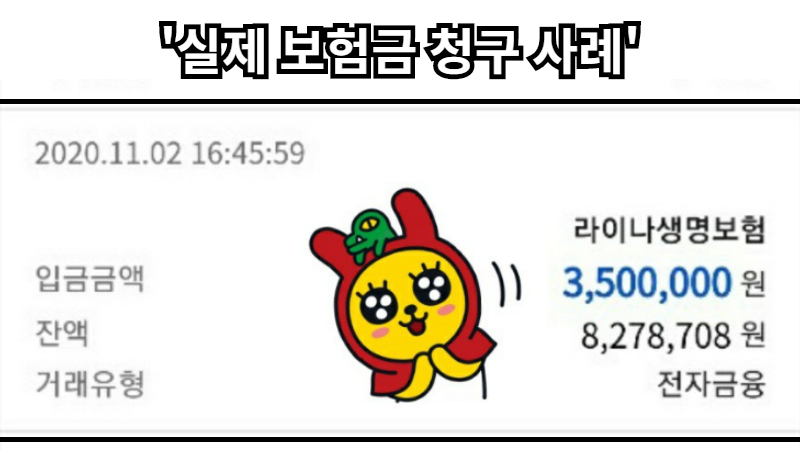 실제 보험금 청구 사례 (매일 매일 빠른 청구 ok)