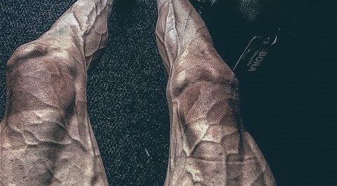 11월 26일 FC브리핑