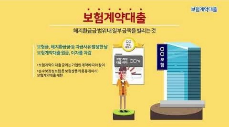 11월 3일 FC브리핑