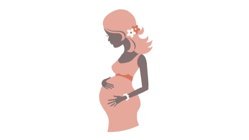 임신 7주~8주의 변화