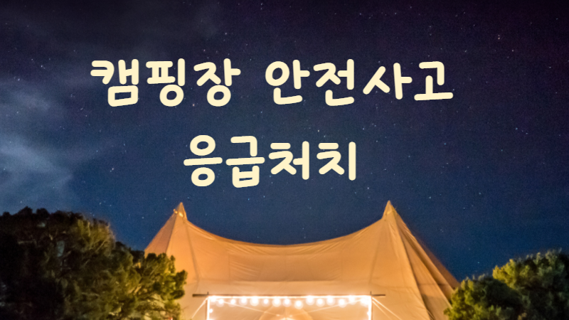 캠핑장 안전사고 응급처치