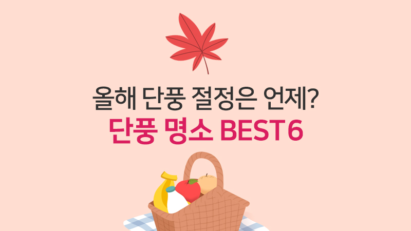 단풍 명소 BEST6