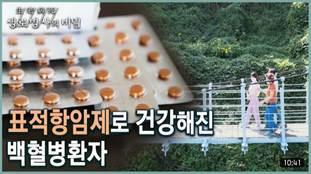 11월 2일 데일리 뉴스