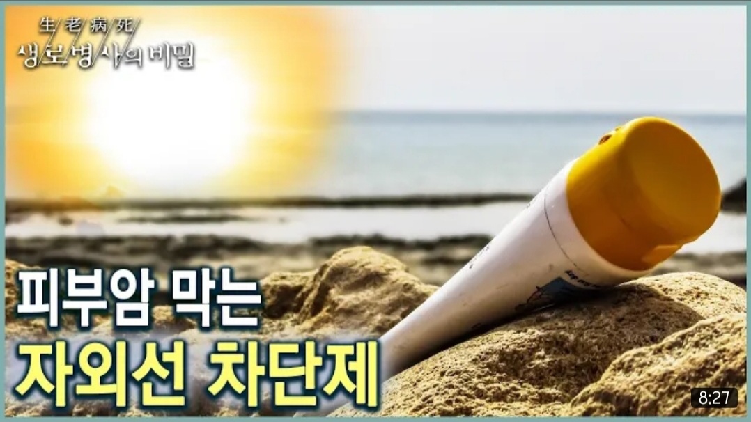 11월 9일 데일리 뉴스