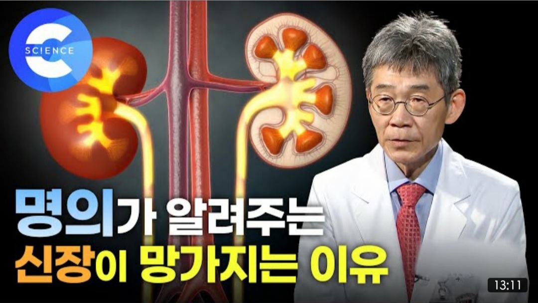 11월 10일 데일리 뉴스