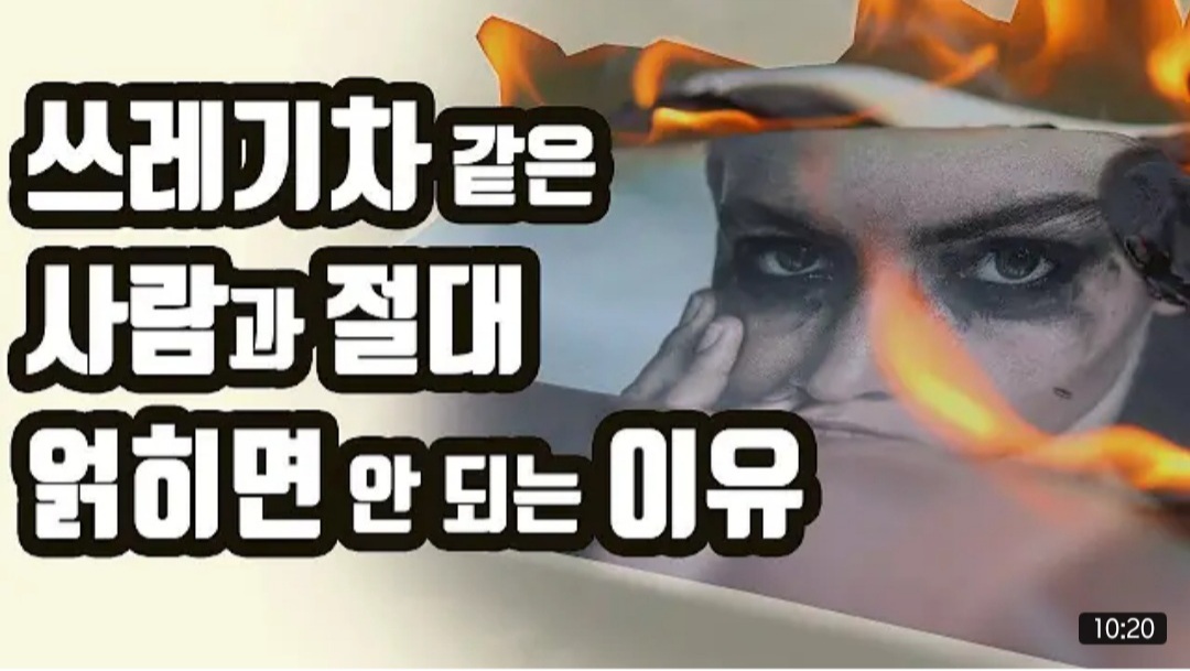 11월 22일 데일리 뉴스