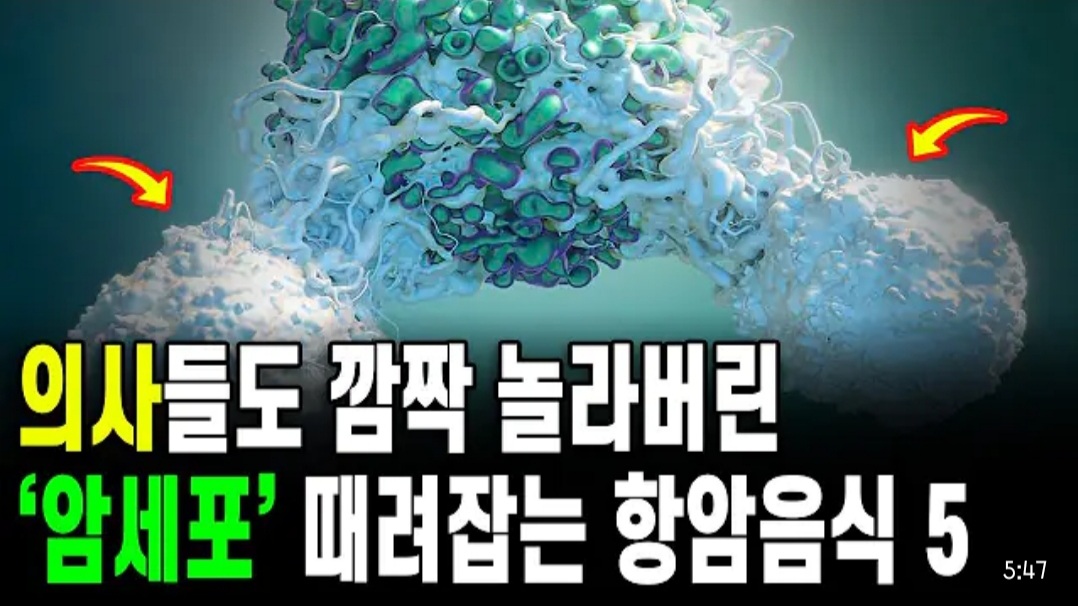 11월 24일 데일리 뉴스