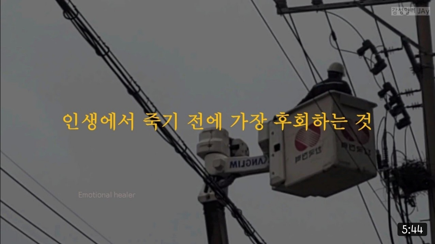 3월 31일 데일리 뉴스