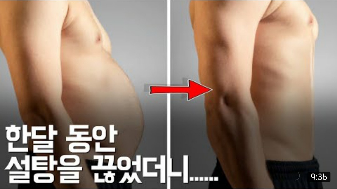 3월 11일 데일리 뉴스