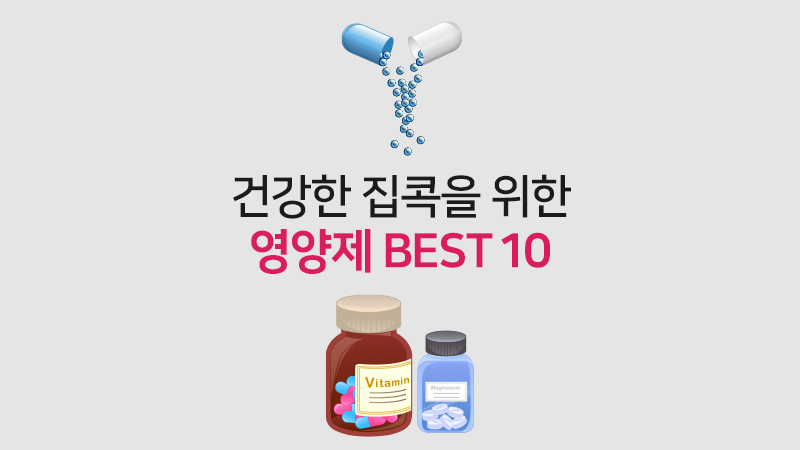 건강한 집콕을 위한 영양제 BEST 10