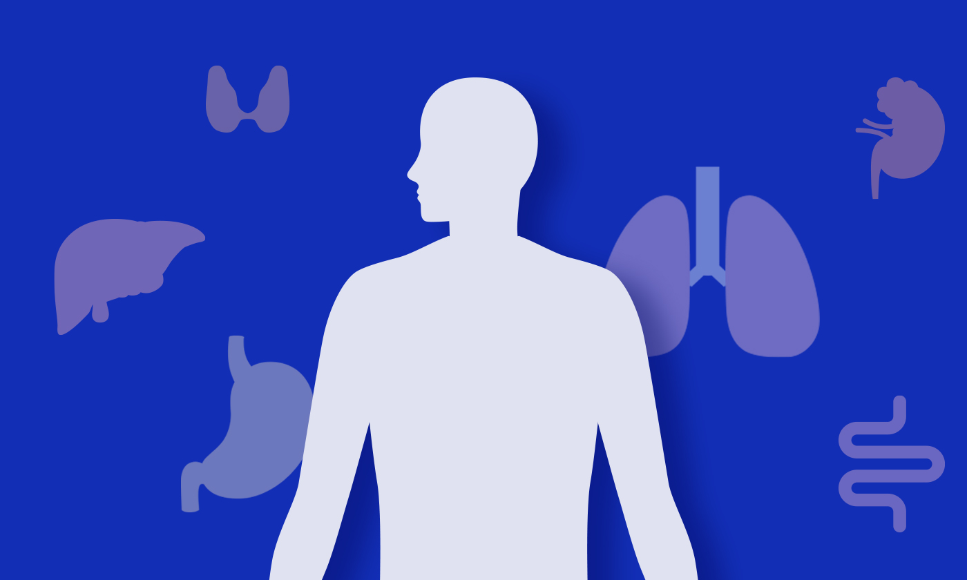 한눈에 보는 장해분류표