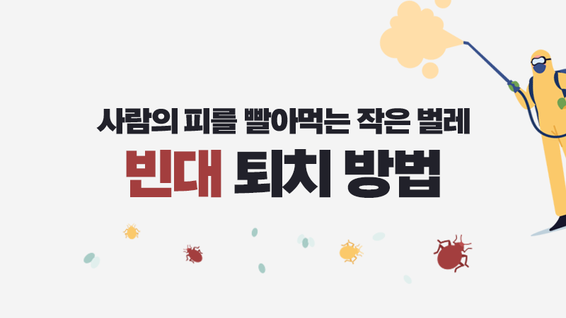 빈대 퇴치 방법
