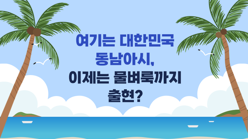 여기는 대한민국 동남아시, 이제는 물벼룩까지 출현?