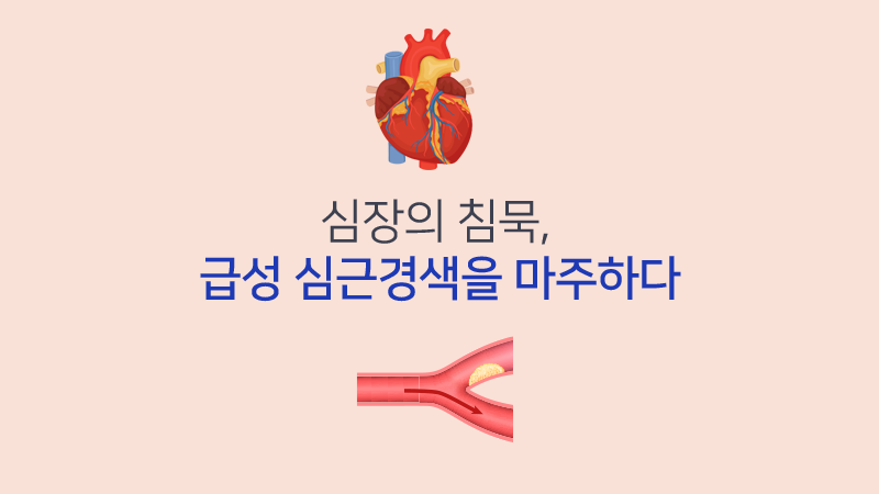 심장의 침묵, 급성 심근경색을 마주하다.