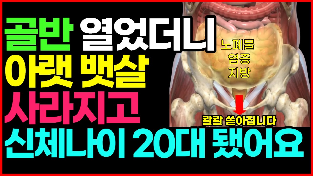 [12월 5일]골반 열었더니 아랫 뱃살 사라지고 신체나이 20대 됐어요