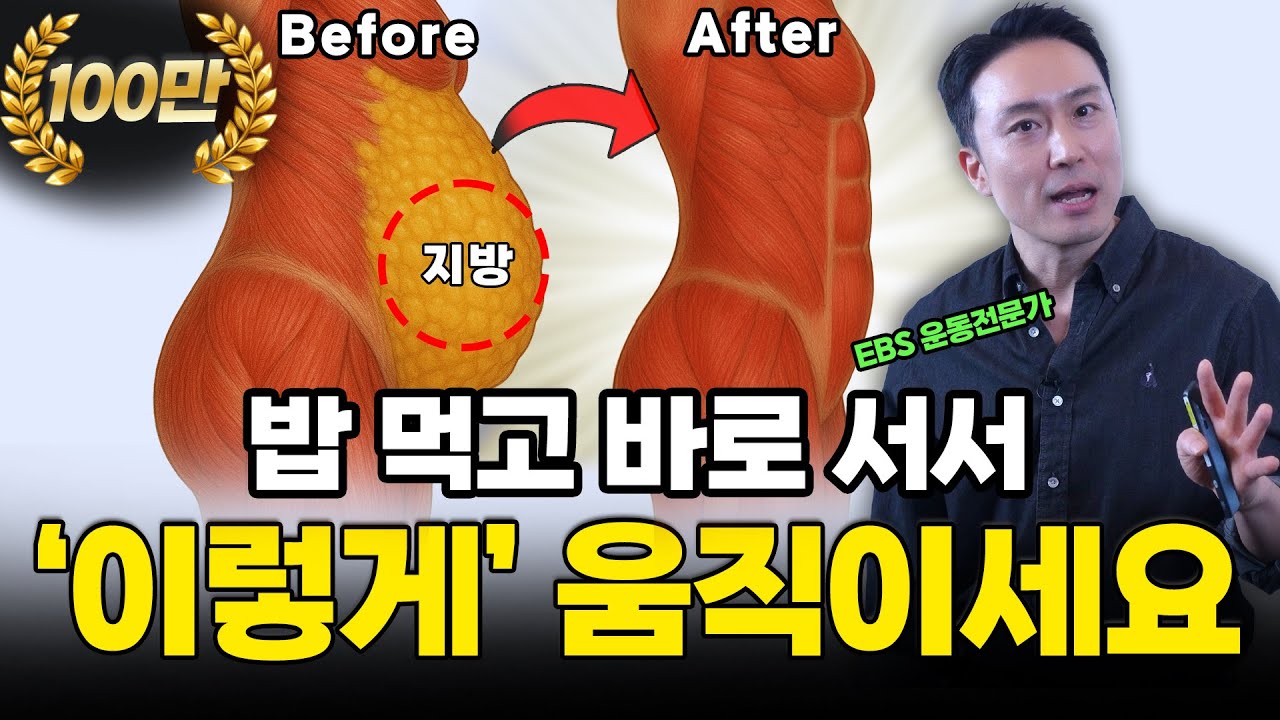 [12월 11일]밥 먹고 바로 서서 이렇게 움직이세요