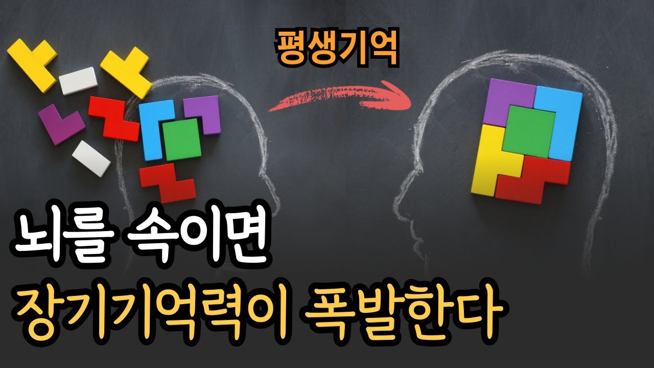 [1월 6일]뇌를 속이면 장기 기억력이 폭발한다.