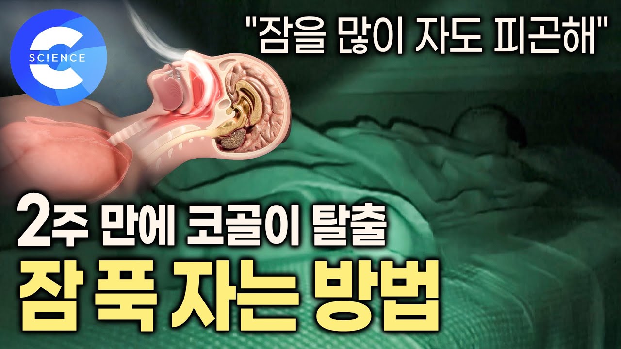 [2월27일]2주만에 코골이 탈출