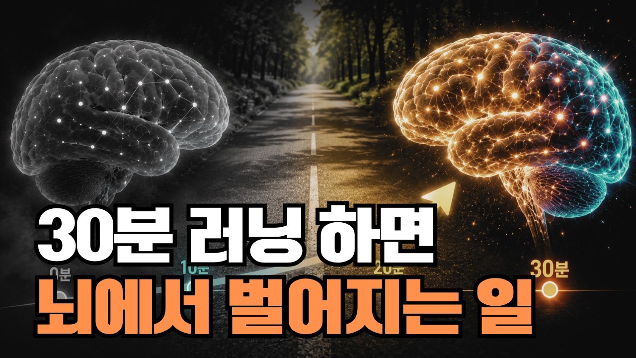 [7월 6일]30분 러닝하면 뇌에서 벌어지는 일