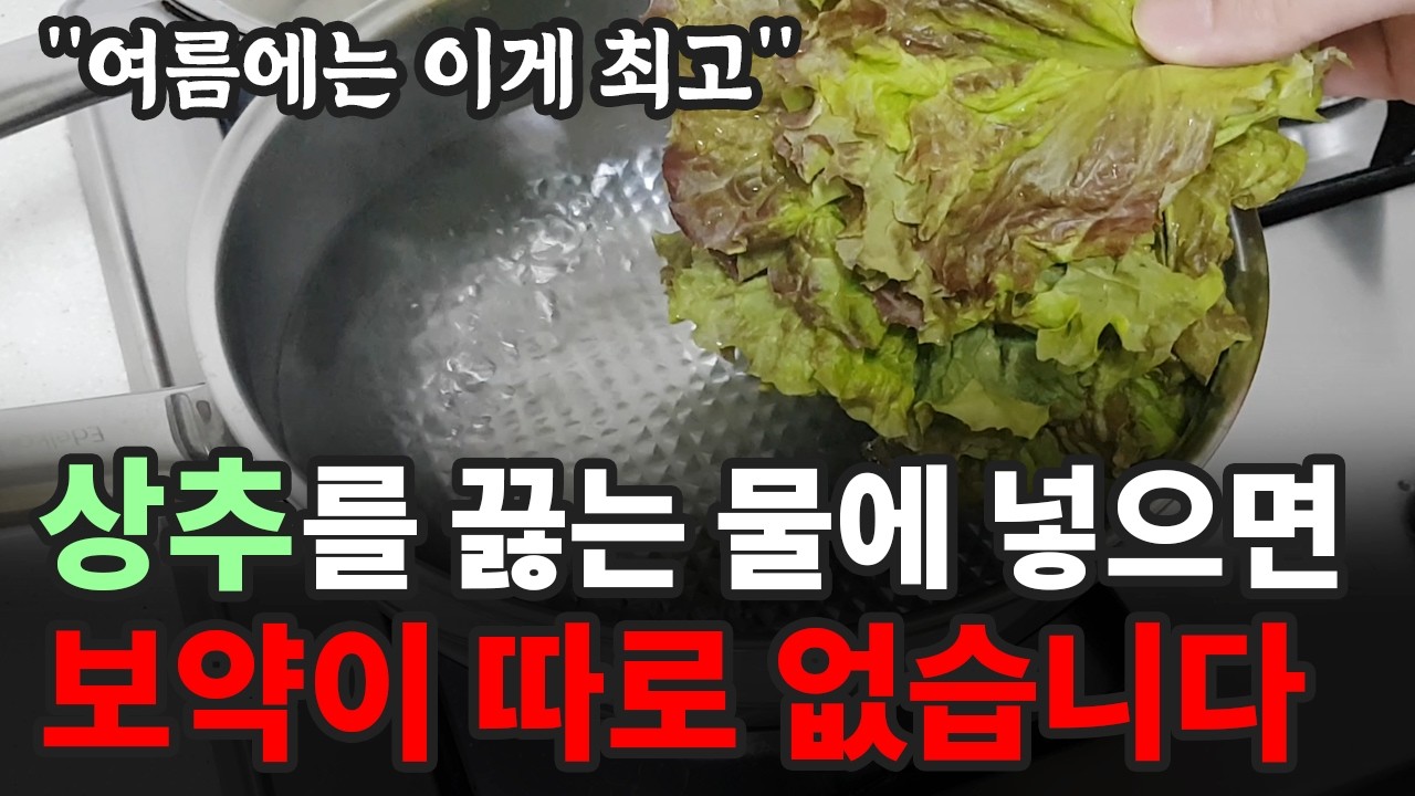 [7월 9일]상추를 끓는 물에 넣으면 보약이 따로 없습니다.