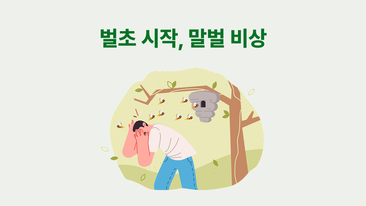 벌초 시작, 말벌 비상