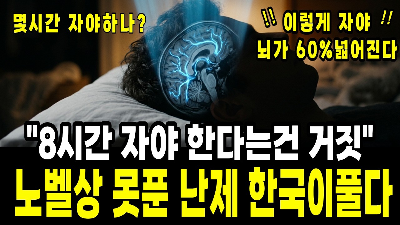 [9월 9일]8시간 자야 한다는 건 거짓말